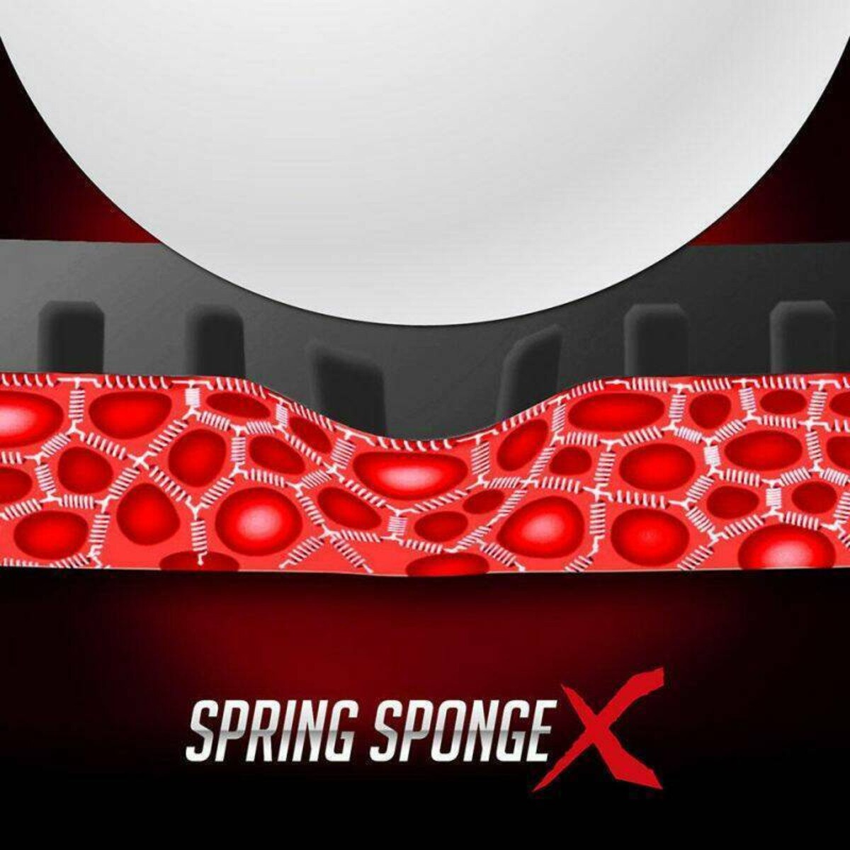 Dignics 09C Rubber: Spring Sponge X